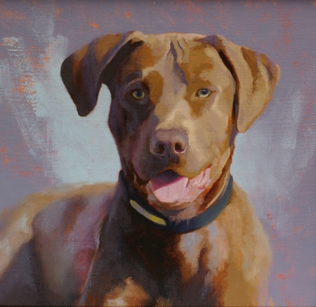 Commissioned oil portrait of a dog called Chester